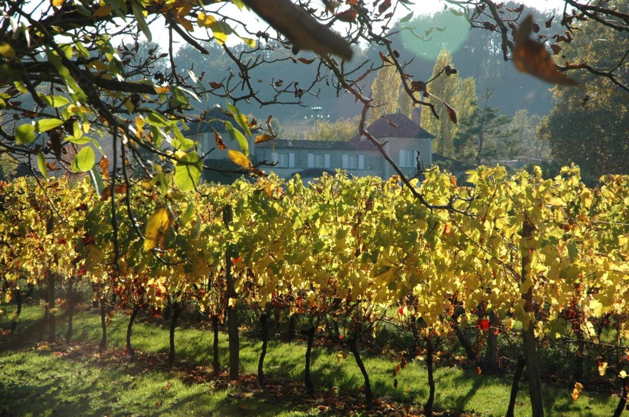 Domaine De La Queyssie Bed & Breakfast Saussignac ภายนอก รูปภาพ