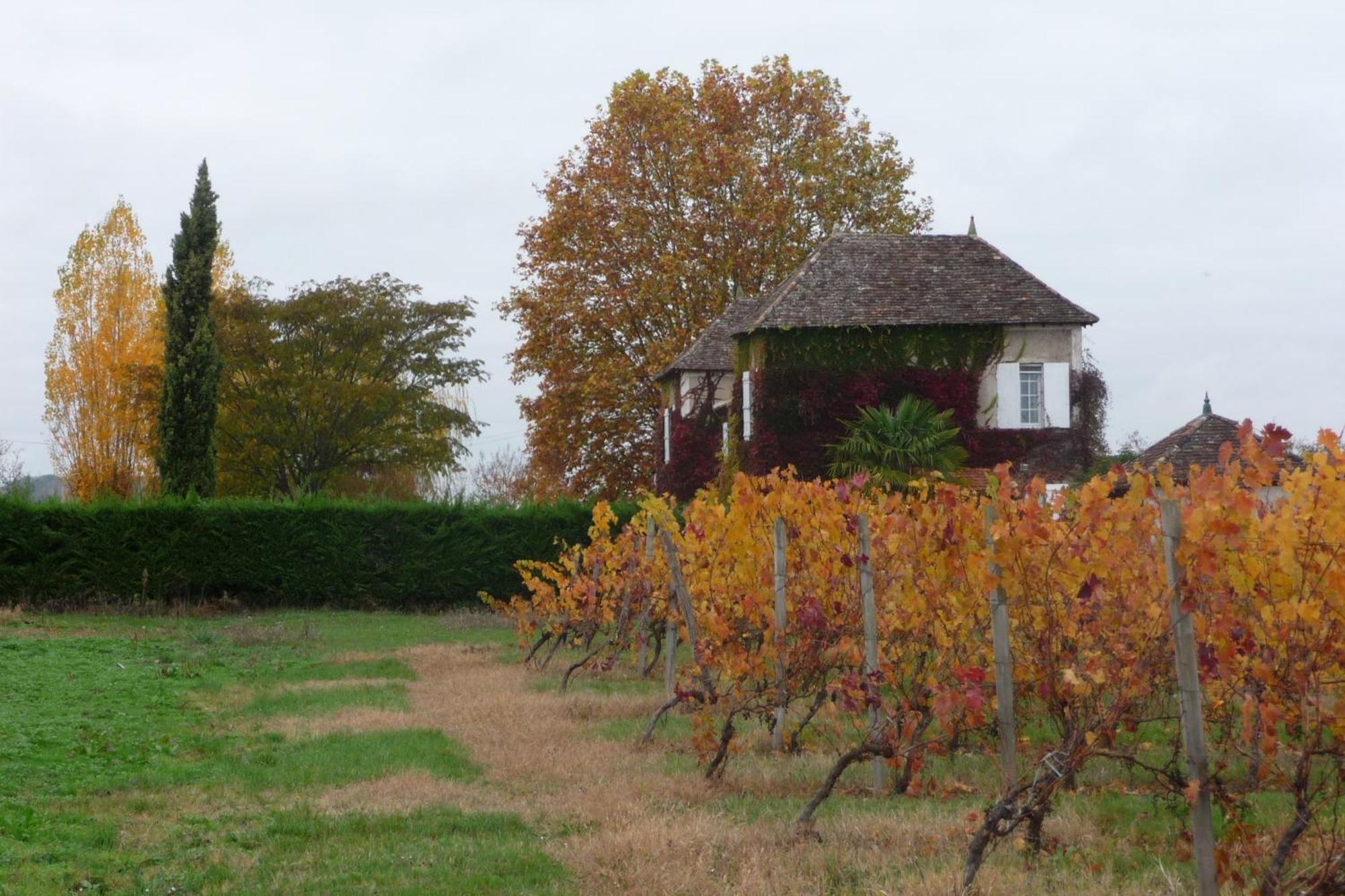 Domaine De La Queyssie Bed & Breakfast Saussignac ภายนอก รูปภาพ