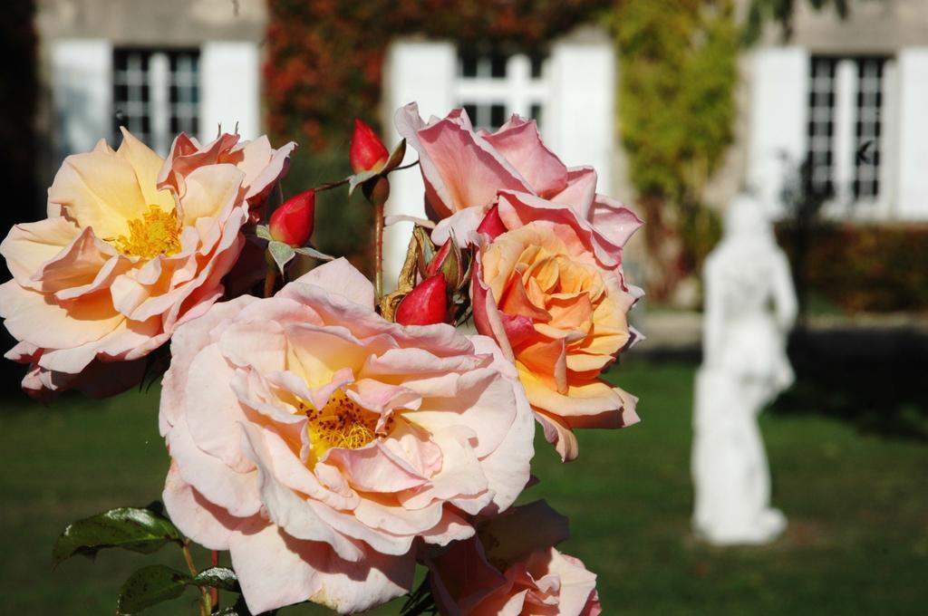 Domaine De La Queyssie Bed & Breakfast Saussignac ภายนอก รูปภาพ