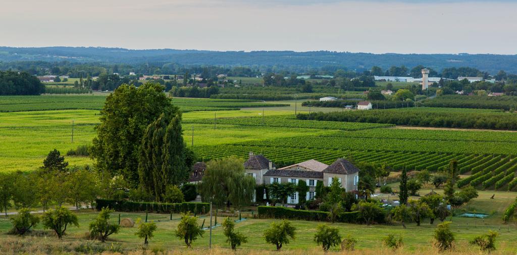 Domaine De La Queyssie Bed & Breakfast Saussignac ภายนอก รูปภาพ